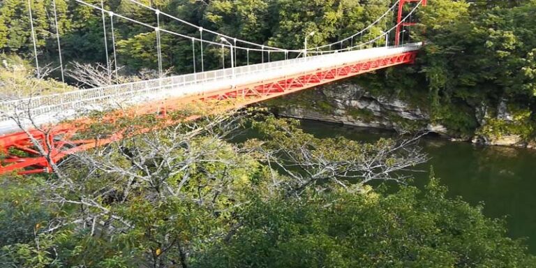 Conheça o Parque de Sakurabuchi em Shinshiro, Aichi no Japão